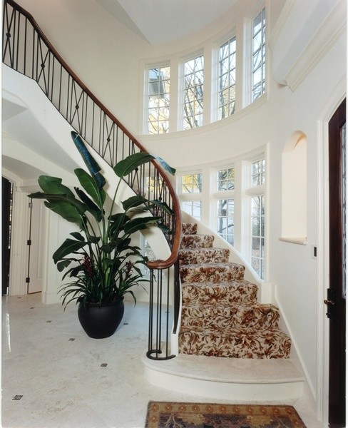 Фотография парадной  лестницы в белом цвете