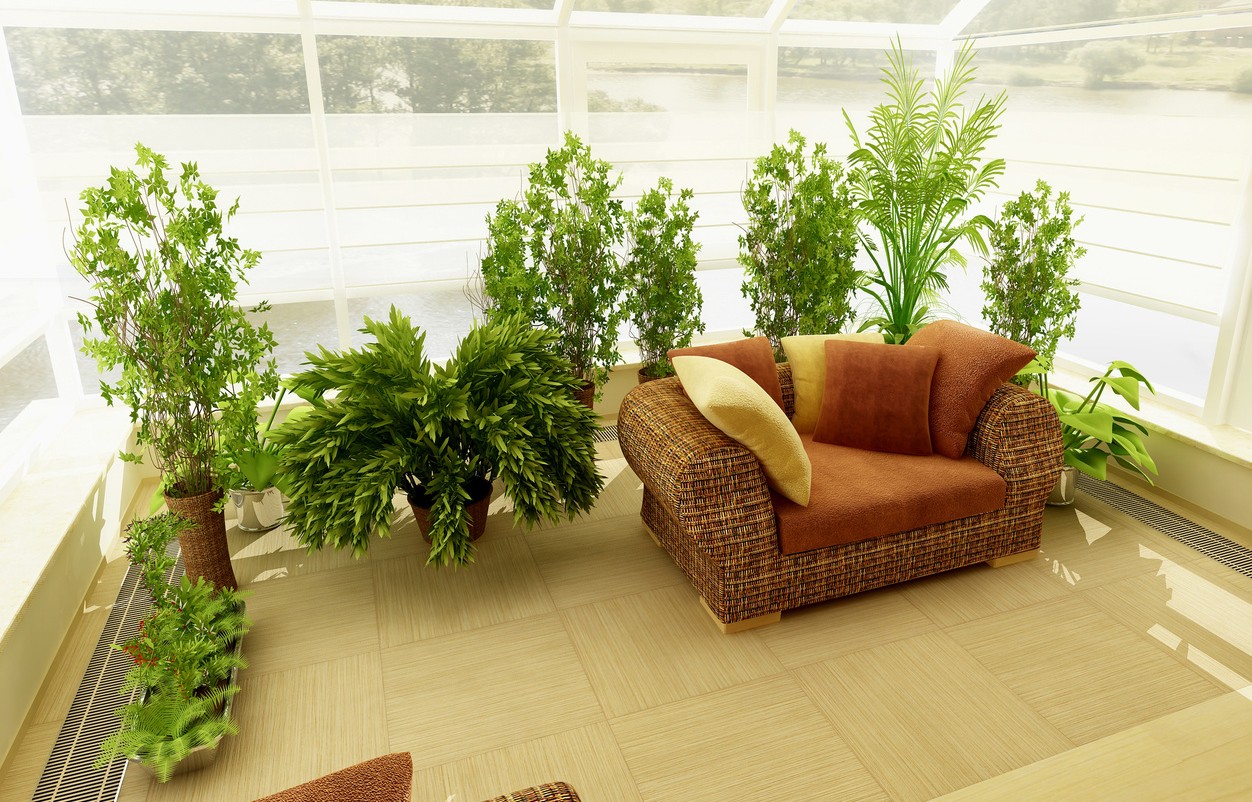 Комнатные растения размещение. Комната с растениями. Растения в интерьере. Цветы в интерьере квартиры. Комнатные цветы в интерьере.